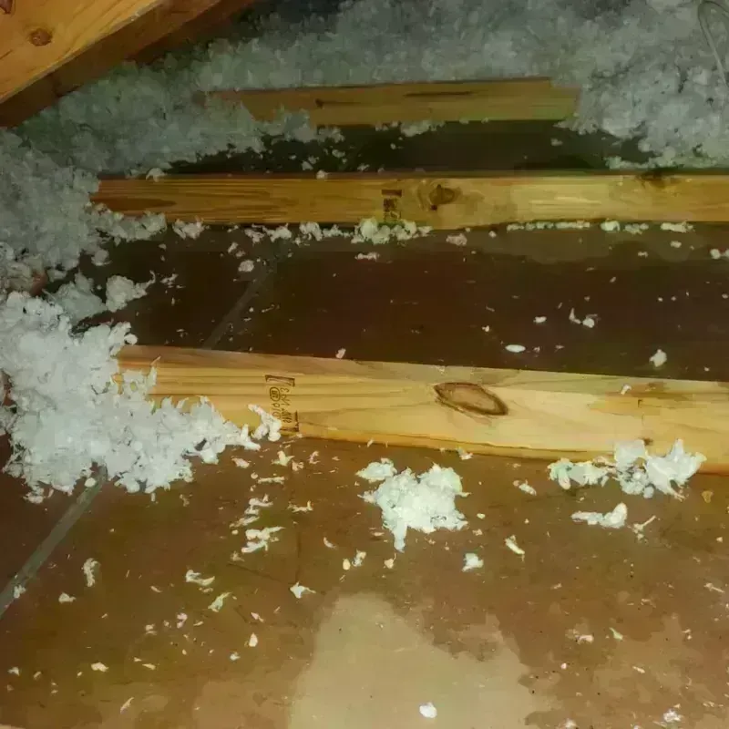 Attic Water Damage in DeMotte, IN