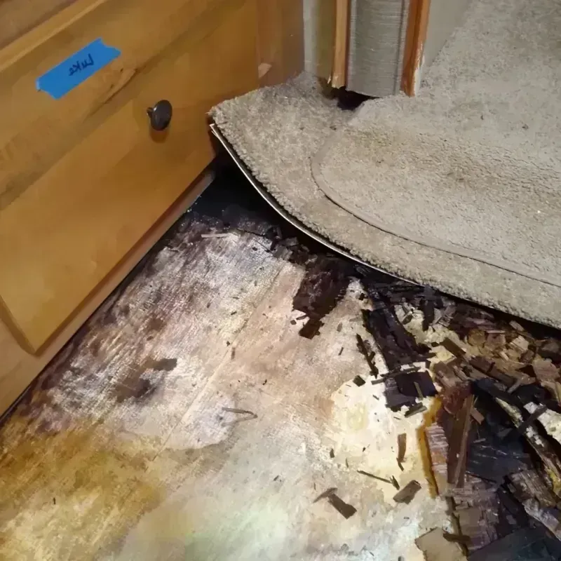 Best Wood Floor Water Damage Service in DeMotte, IN